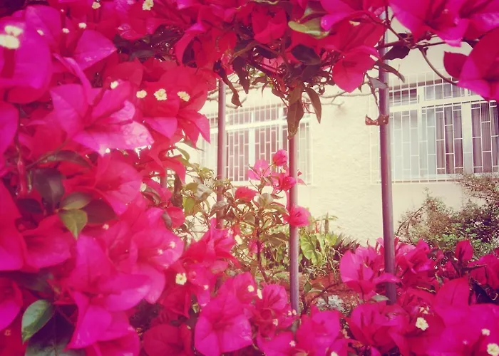 Hostel Nossa Casa Florianópolis